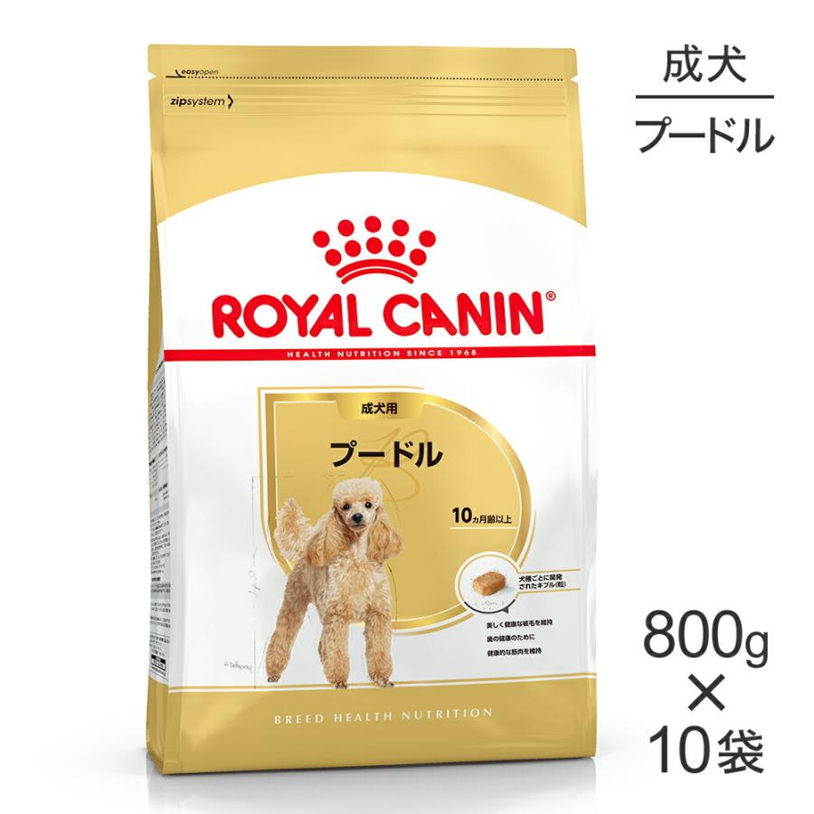 【800g×10袋】ロイヤルカナン BHN プードル 成犬用 生後10ヵ月齢以上 (犬・ドッグ)[正規品]