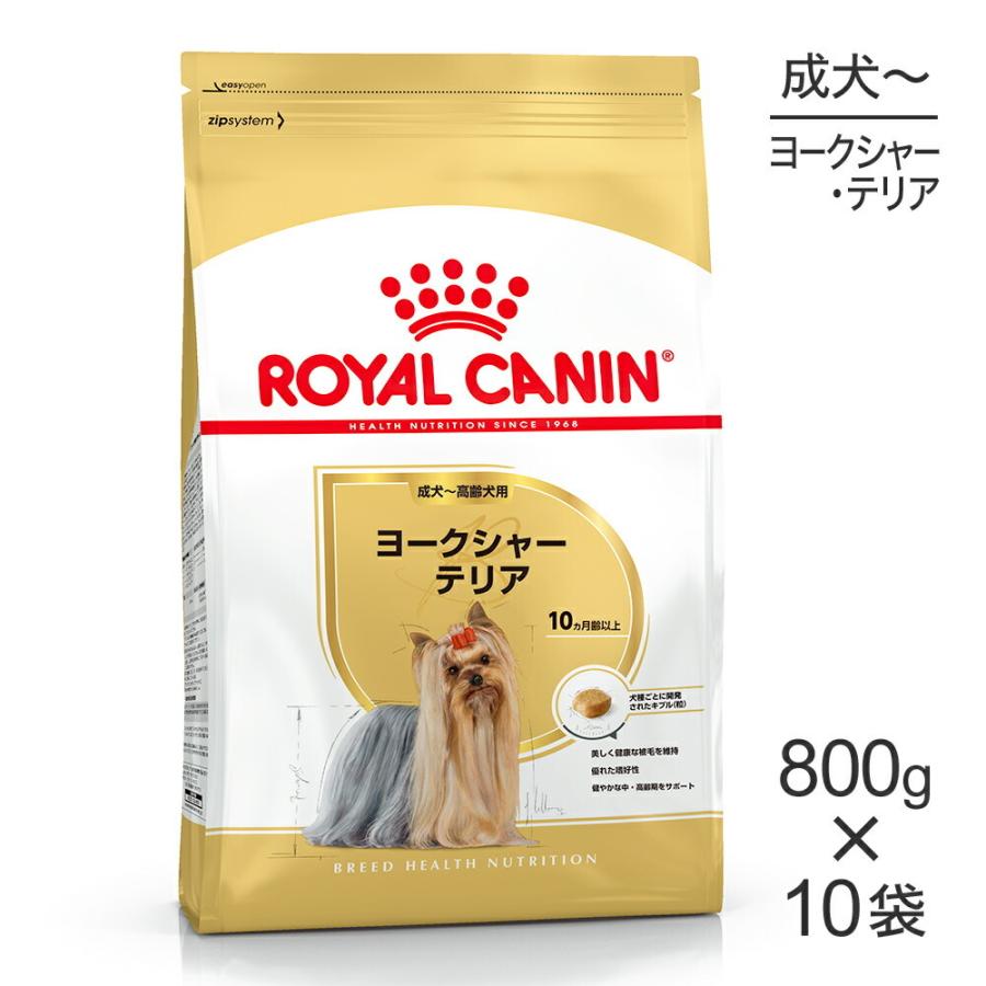【800g×10袋】ロイヤルカナン BHN ヨークシャーテリア 成犬〜高齢犬用 生後10ヵ月齢以上 (犬・ドッグ)[正規品]