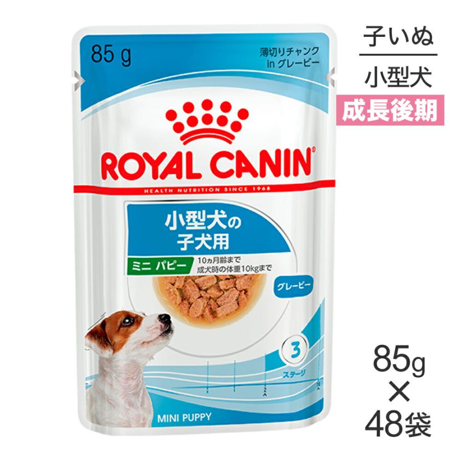 本格派ま！ ロイヤルカナン ウェットフード ミニエイジング12 高齢犬用