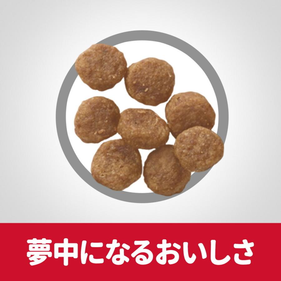 ヒルズ　サイエンスダイエット　小型犬用　1〜6歳　ラム&ライス　3kg×4袋 日本ヒルズ サイエンス・ダイエット アダルトラム＆ライス小型犬