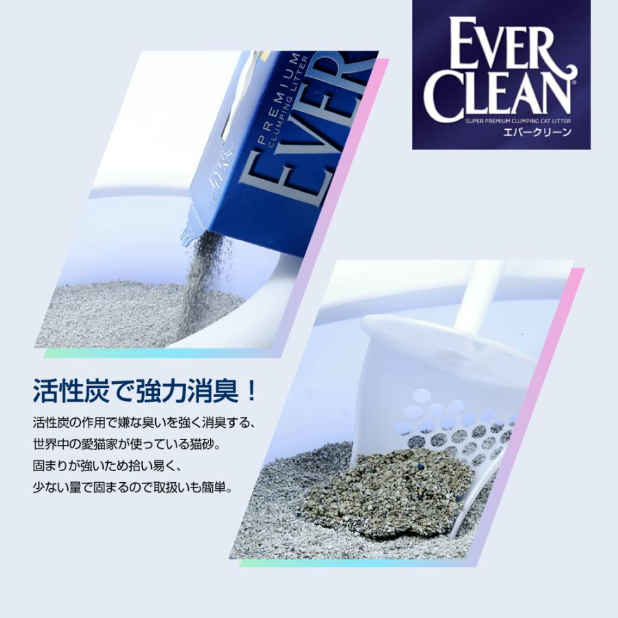 EVER CLEAN（エバークリーン） 【6L×3箱】エバークリーン 無香タイプ