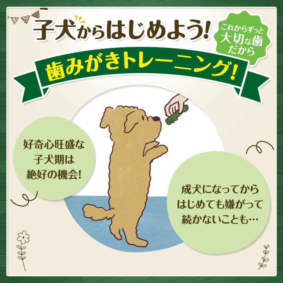 グリニーズ 【メール便】【10本×2袋】グリニーズ プラス 子犬用