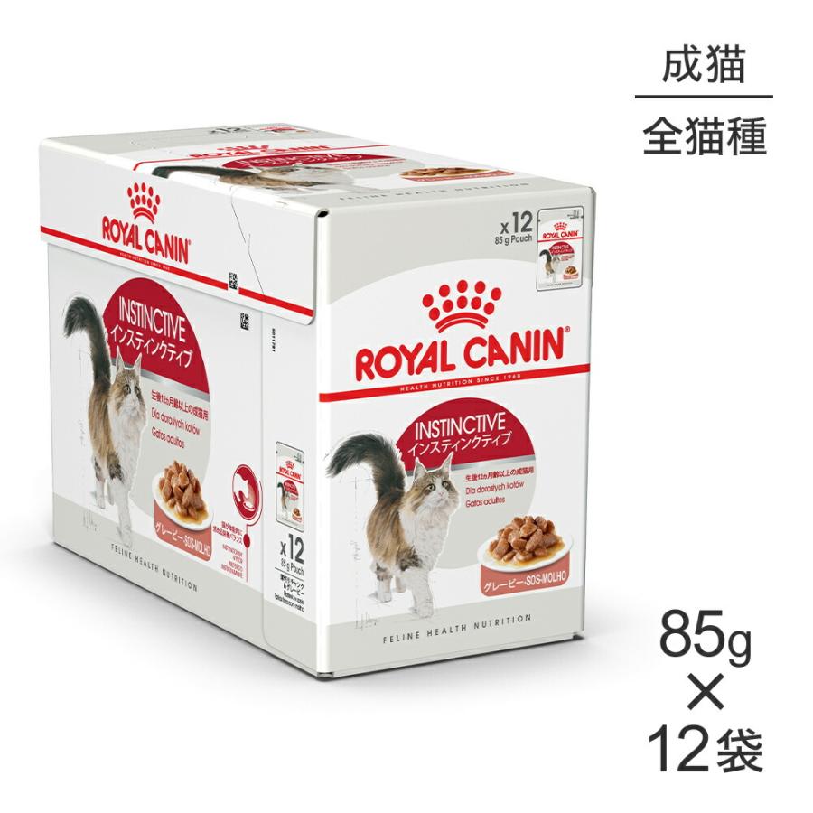 猫用品 ロイヤルカナン 室内で生活する成猫用 85g×12袋 4