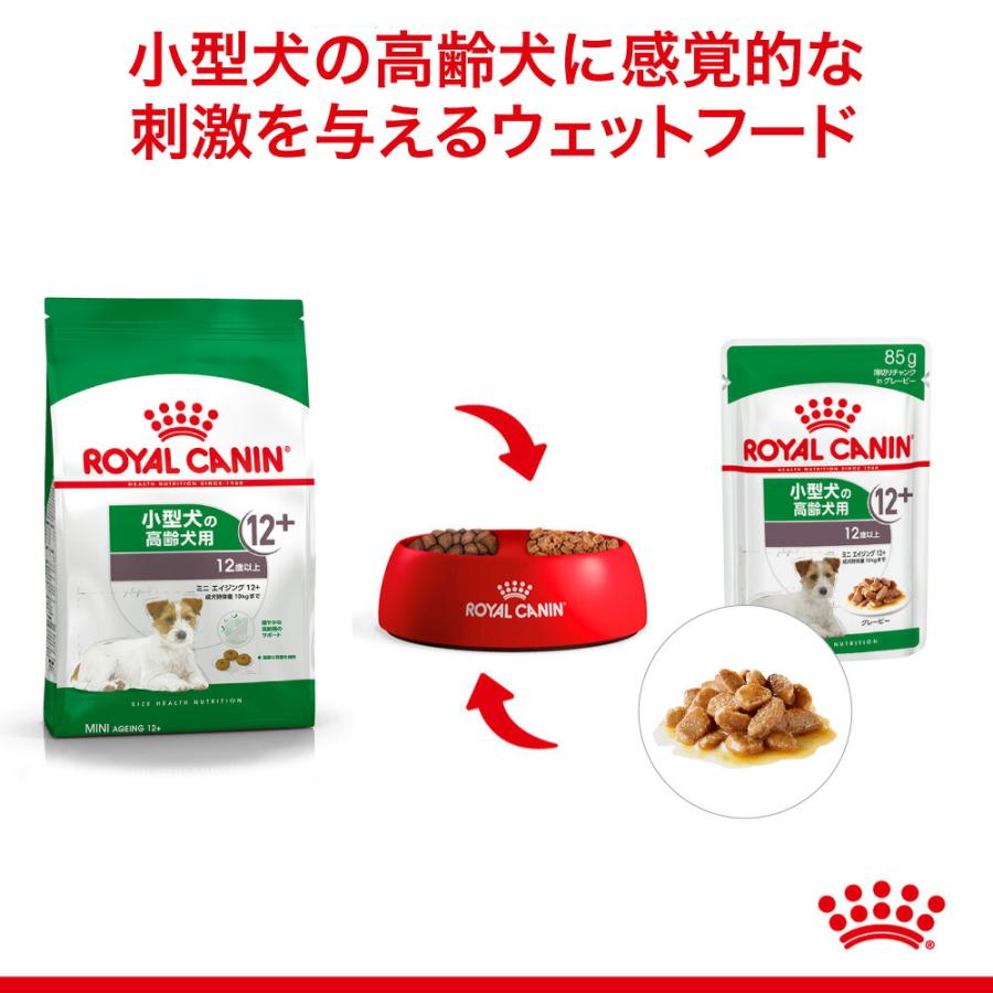 【85g×48袋】ロイヤルカナン ウェットフード ミニエイジング12+ 高齢犬用12歳以上 (犬・ドッグ) [正規品]｜sweet-pet｜04