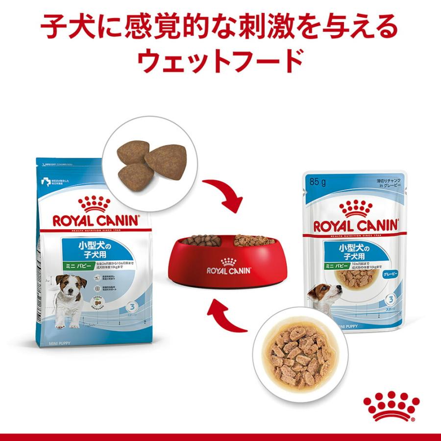 サイズ ヘルス ニュートリション 【メール便】【85g×6袋】ロイヤル
