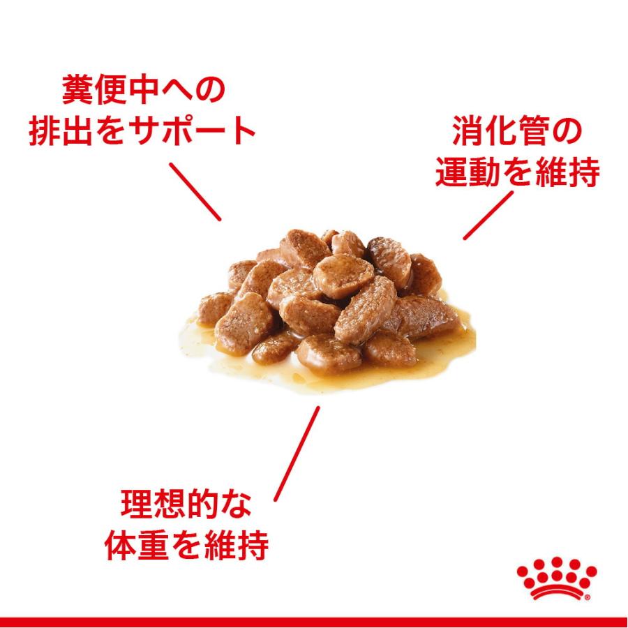 フィーライン ケア ニュートリション 【メール便】【85g×6袋】ロイヤル