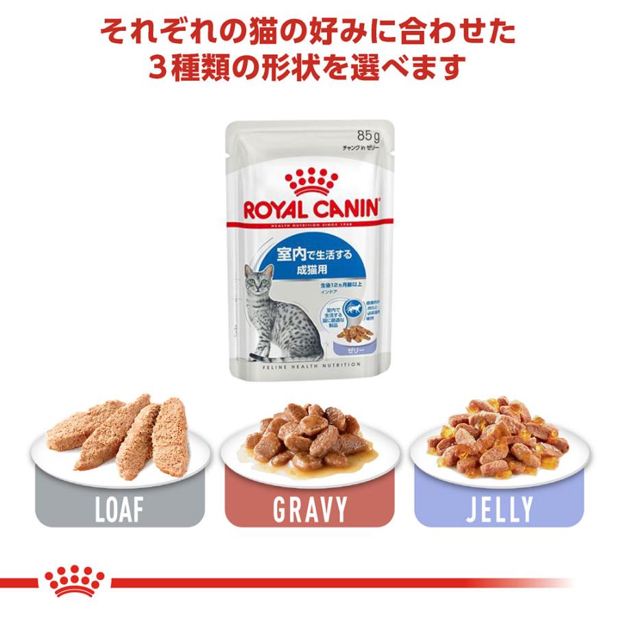 フィーライン ヘルス ニュートリション 【メール便】【85g×6袋