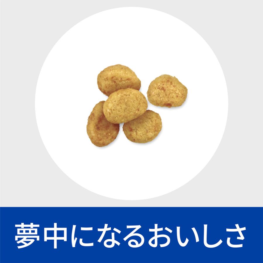 プリスクリプション・ダイエット 【1kg×3袋】ヒルズ c/d マルチケア+