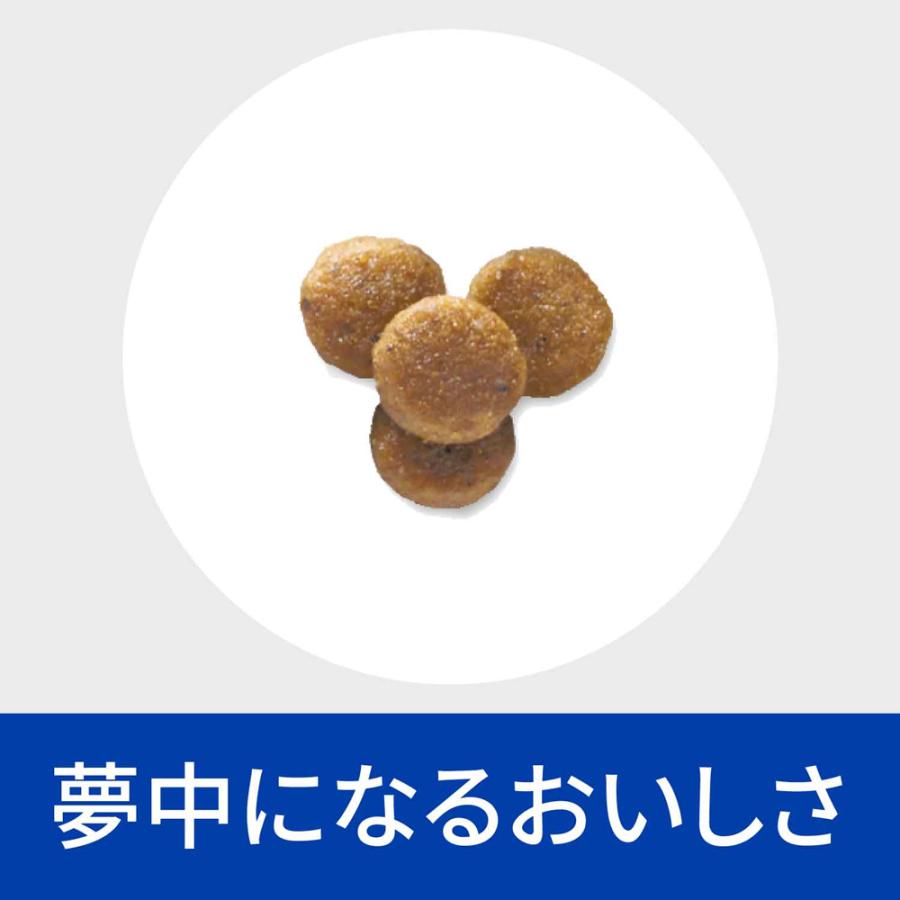 プリスクリプション・ダイエット 【2kg×2袋】ヒルズ k/d 早期アシスト