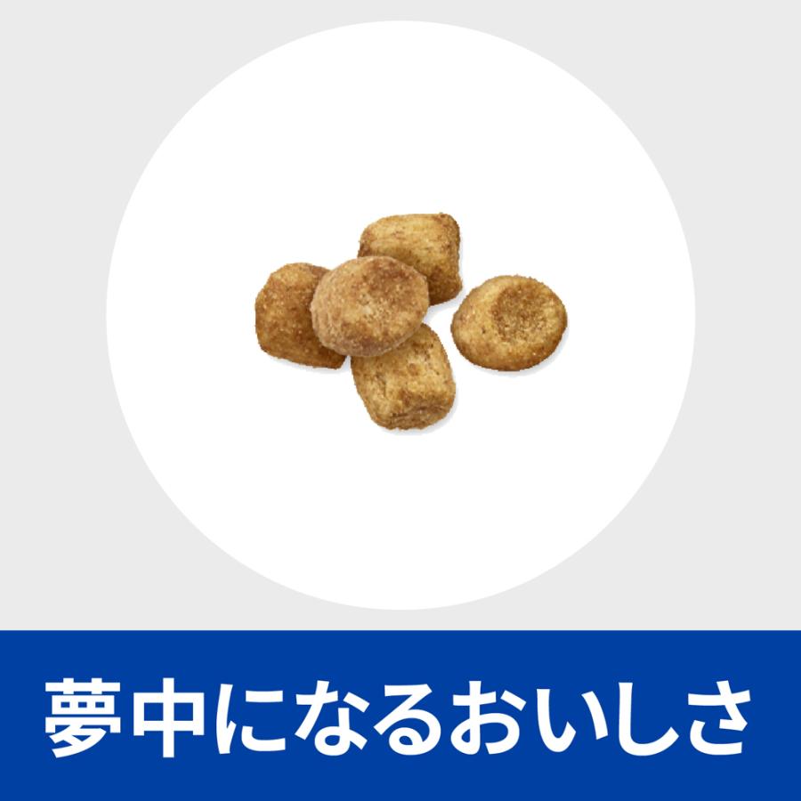 プリスクリプション・ダイエット 【2kg×2袋】ヒルズ r/d 減量 療法食