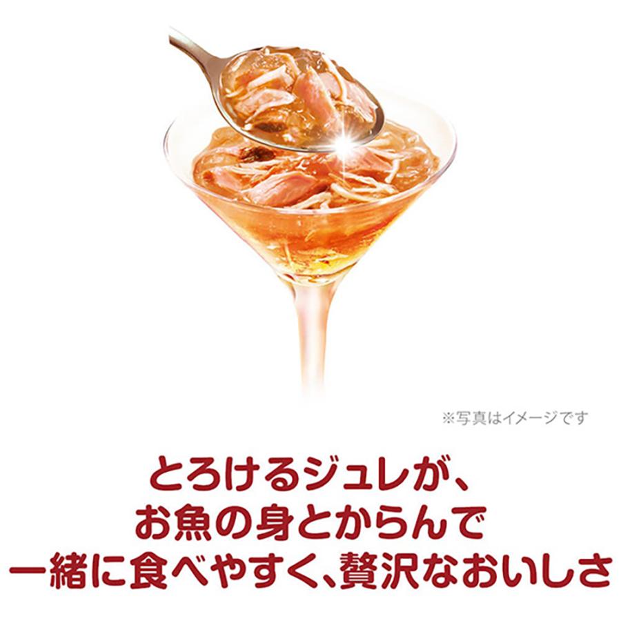 ユニ・チャーム ペットケア 【35g×16袋】ユニ・チャーム 銀のスプーン