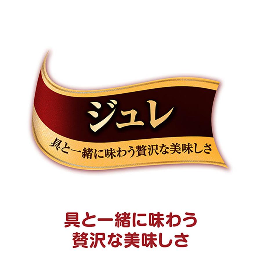 ユニ・チャーム ペットケア 【35g×16袋】ユニ・チャーム 銀のスプーン