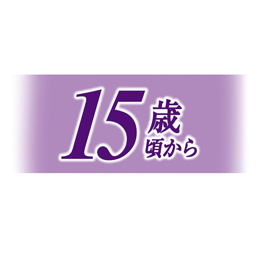 ユニ・チャーム ペットケア 【35g×16袋】ユニ・チャーム 銀のスプーン