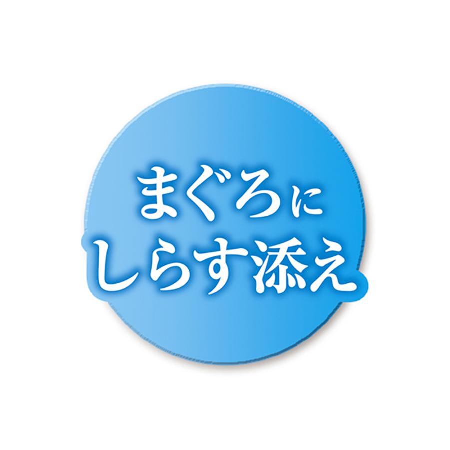 ユニ・チャーム ペットケア 【35g×16袋】ユニ・チャーム 銀のスプーン