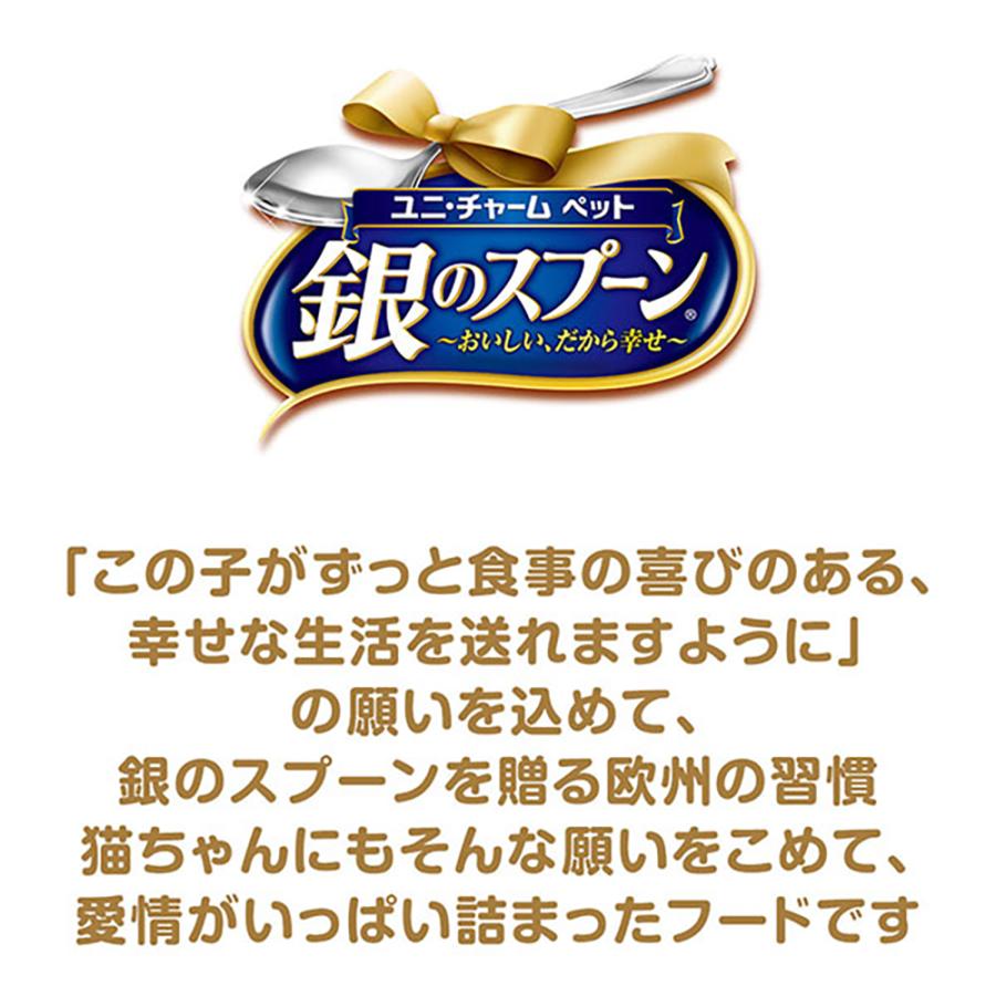 ユニ・チャーム ペットケア 【70g×48缶】ユニ・チャーム 銀のスプーン