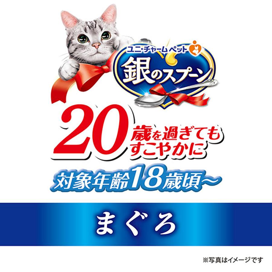 ユニ・チャーム ペットケア 【70g×48缶】ユニ・チャーム 銀のスプーン