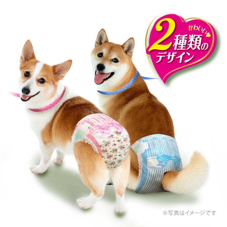 マナーウェア 【32枚×4袋】ユニ・チャーム 女の子用 Lサイズ