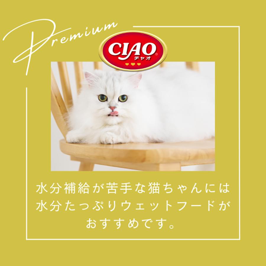 【(40g×8袋)×12箱】いなば CIAO パウチ グレインフリーバラエティ ウェット (猫・キャット)_10