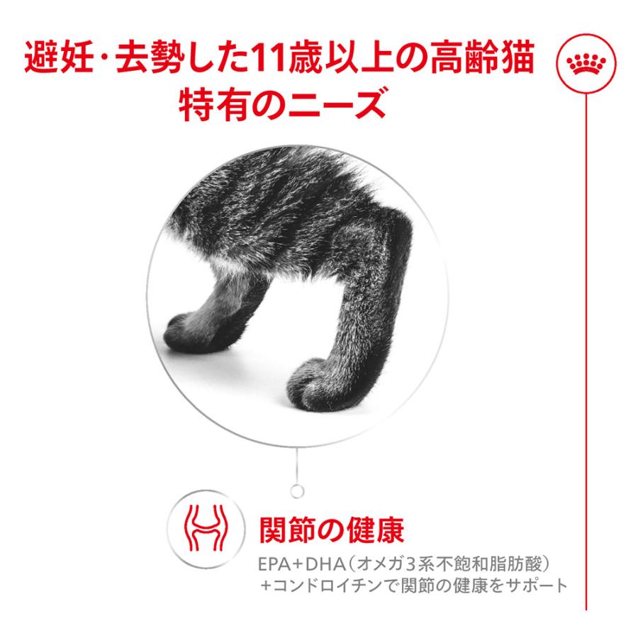 フィーライン ヘルス ニュートリション 【2kg×3袋】ロイヤルカナン FHN