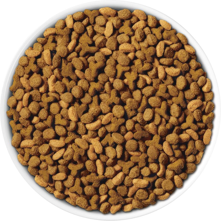 ピュリナワン 【120g×4袋】ネスレ ピュリナ ワン キャット 高たんぱく