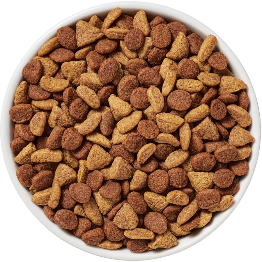 ピュリナワン 【1.6kg×3袋】ネスレ ピュリナ ワン キャット 高たんぱく