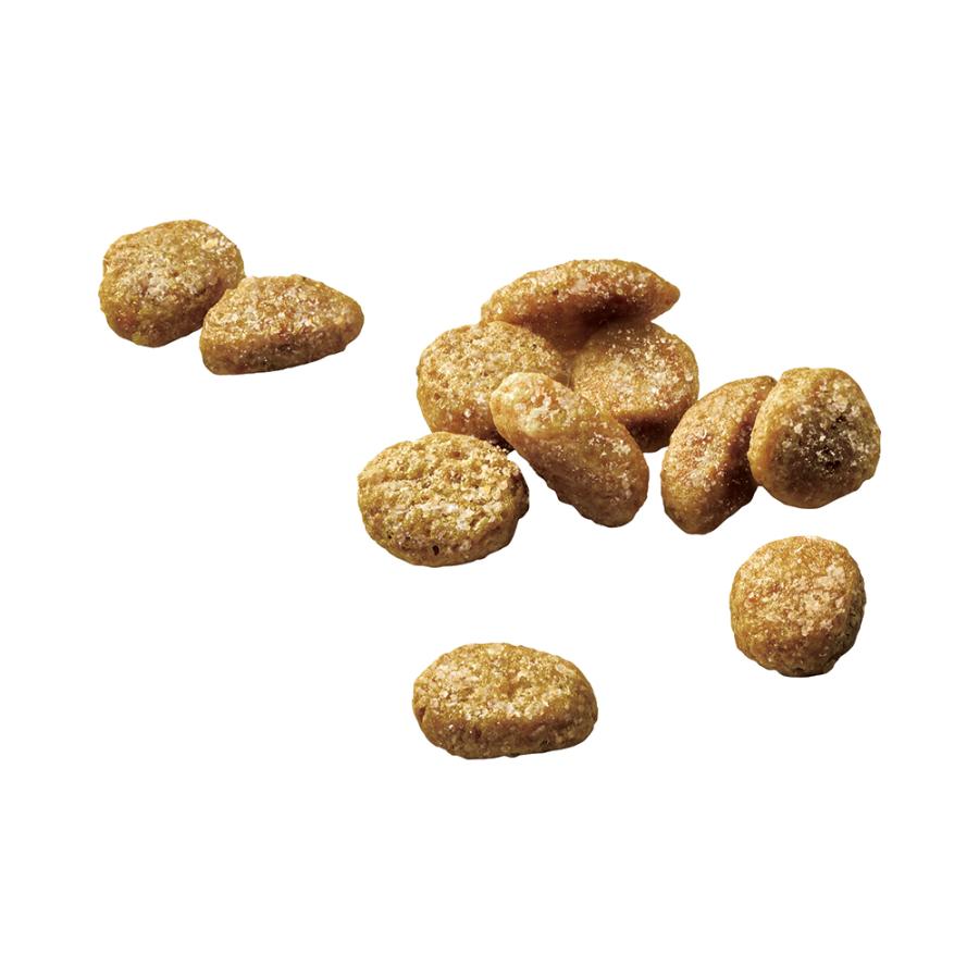モンプチ 【500g×6袋】ネスレ バッグ ナチュラル 贅沢サーモン入り