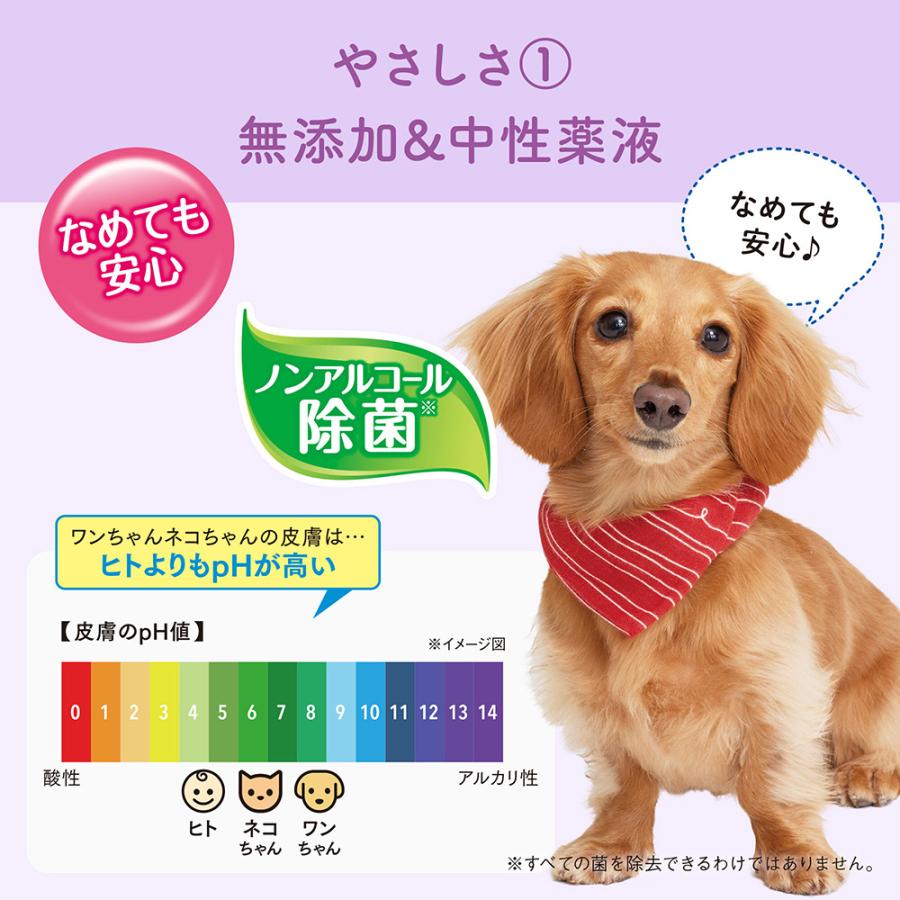 【(60枚×3P)×12袋】キミおもい 肌にやさしいウエットティシュー ノンアルコール除菌 (犬猫兼用) | エリエール Pet | 01
