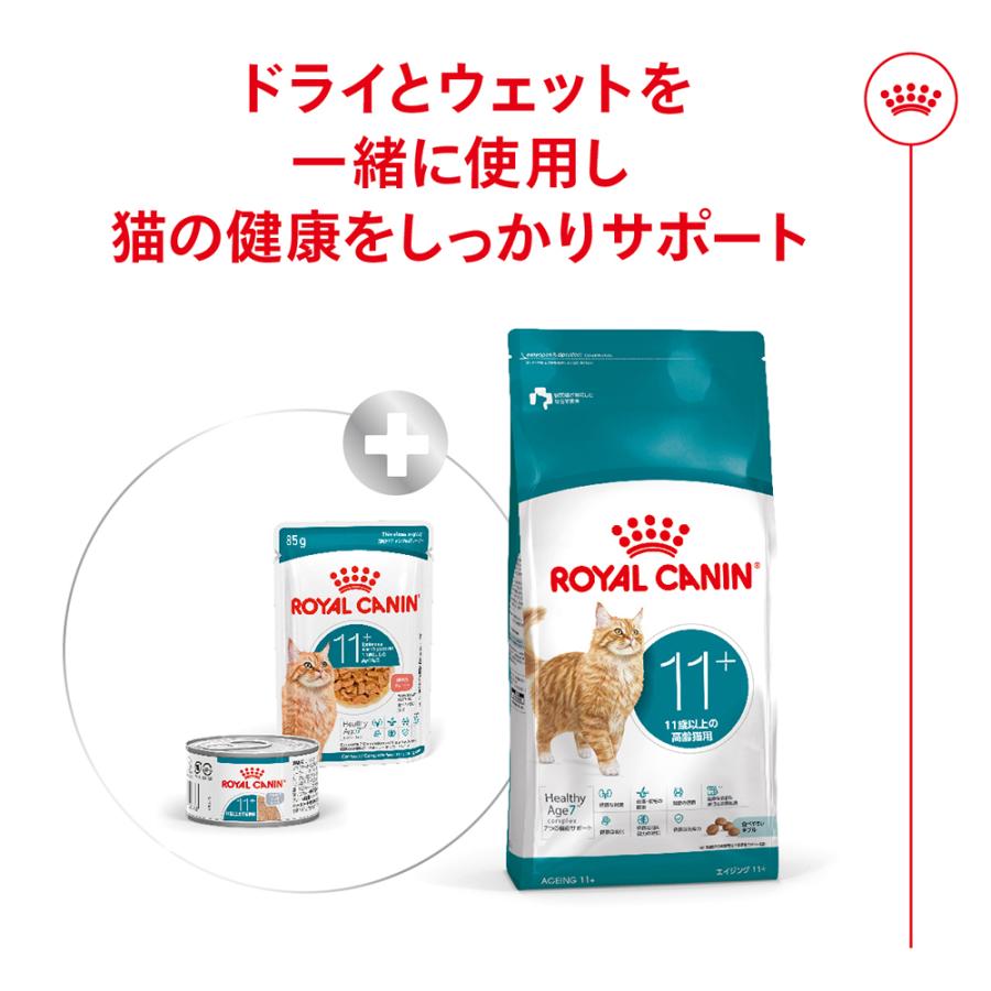  CANIN ウエットフード 11缶セット フィーライン ヘルス ニュートリション 【85g×12袋】ロイヤルカナン
