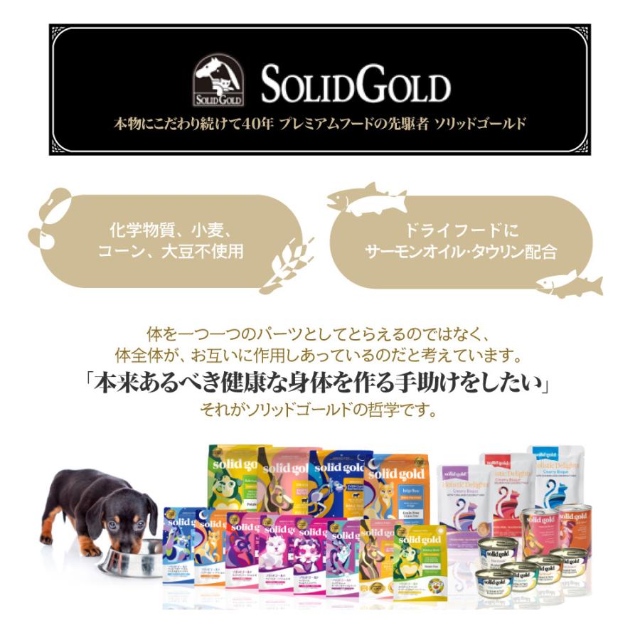 ソリッドゴールド SOLIDGOLD フィット アズア フィドル 成猫・肥満猫用