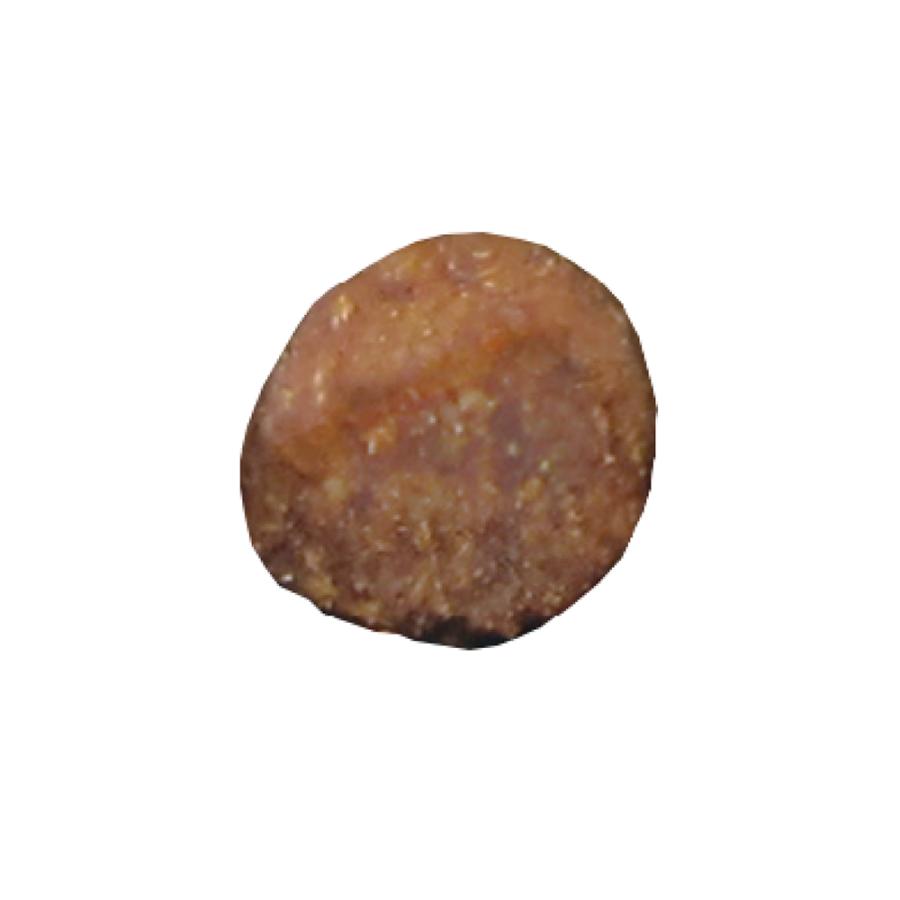 ソルビダ　グレインフリー　チキン　室内飼育体重管理用　12kg ソルビダ グレインフリー チキン 室内飼育 体重管理用（インドア