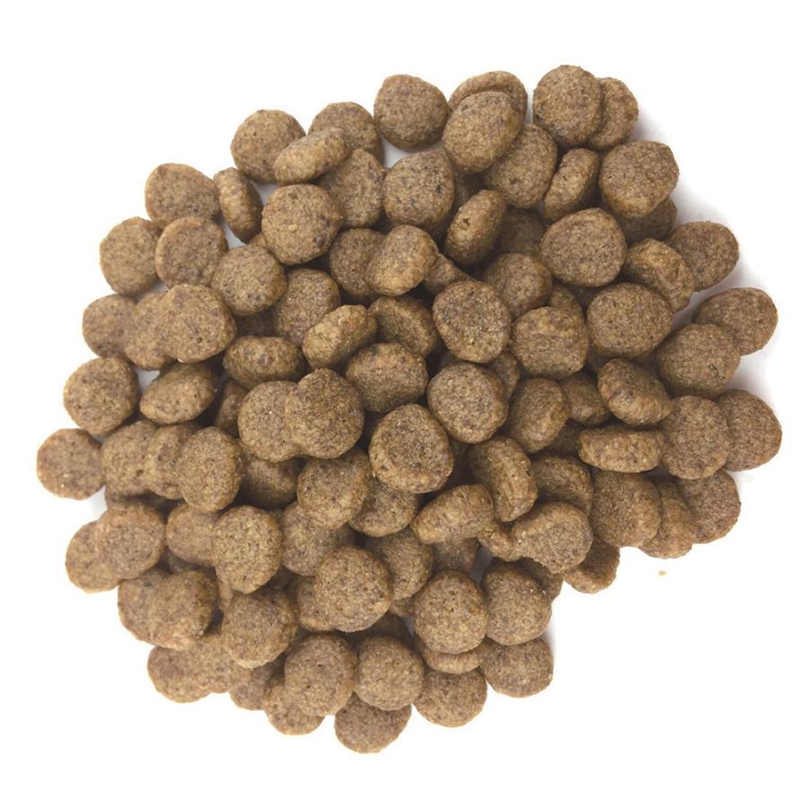 Super Gold 森乳 スーパーゴールド フィッシュ＆ポテトプラス 関節の