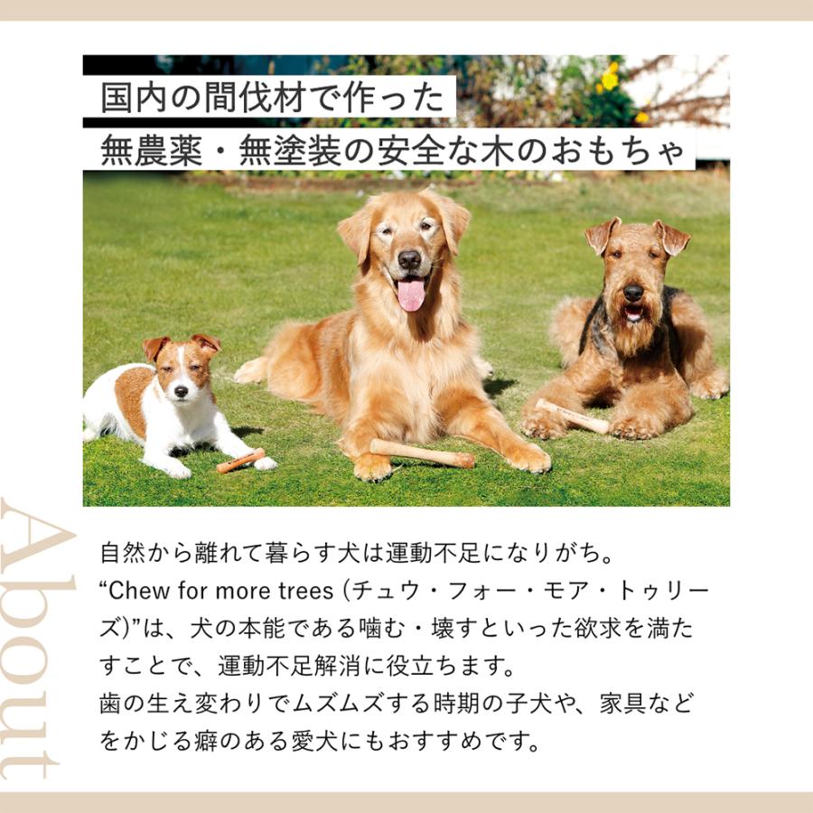 たかくら新産業 Chew for more trees チューフォーモアトリーズ 桜 S