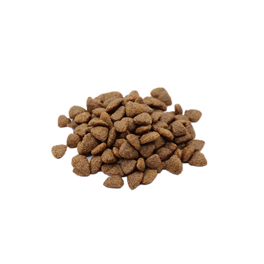 VetSolution MONGE ベッツソリューション 腎臓＆シュウ酸塩