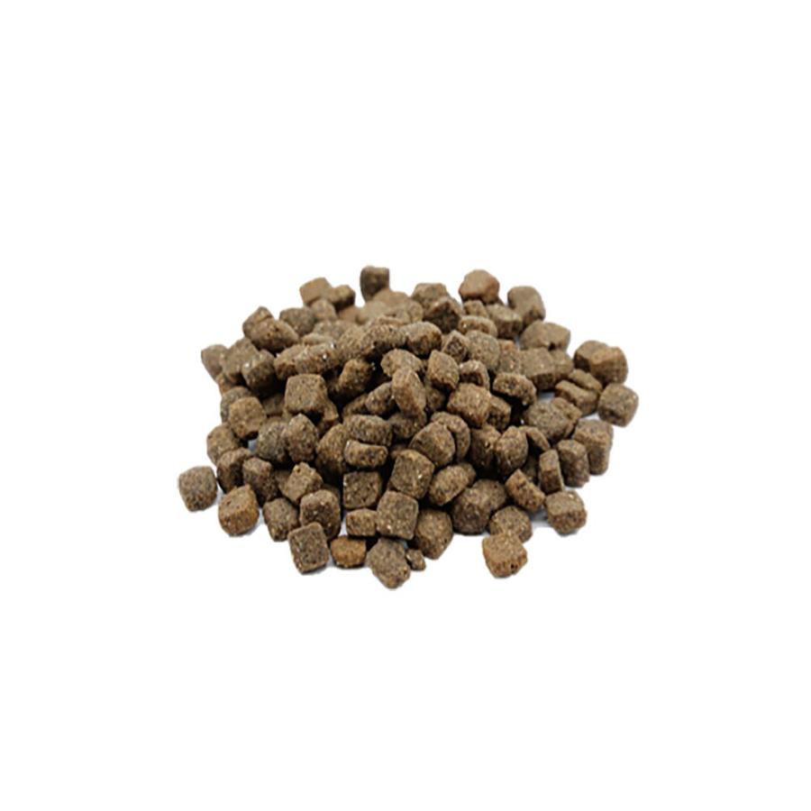 VetSolution MONGE VetSolution ベッツソリューション 皮膚サポート