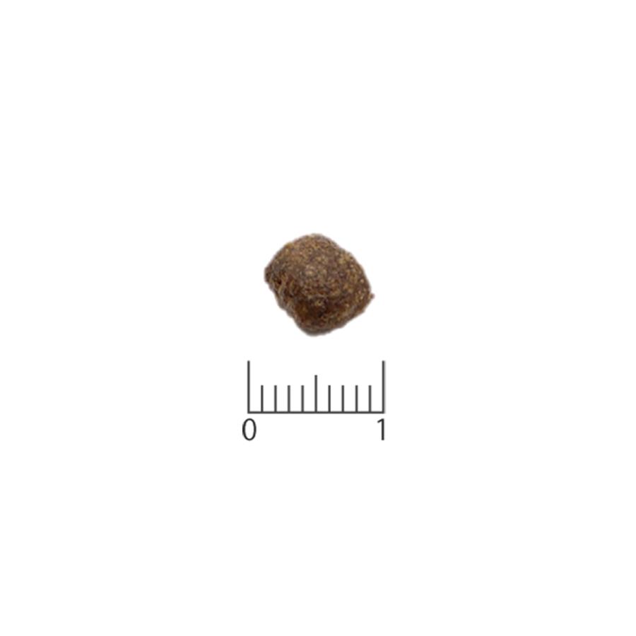 Monge VetSolution 尿中ストルバイトサポート 2kg 400g Monge VetSolution 尿中ストルバイトサポート 2kg 400g 猫用】尿