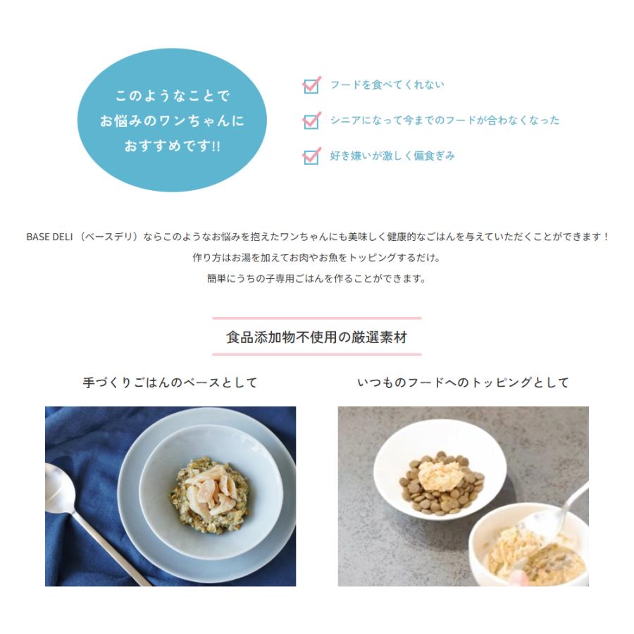 white fox（ホワイトフォックス） BASE DELI うまみDASHI ベースデリ