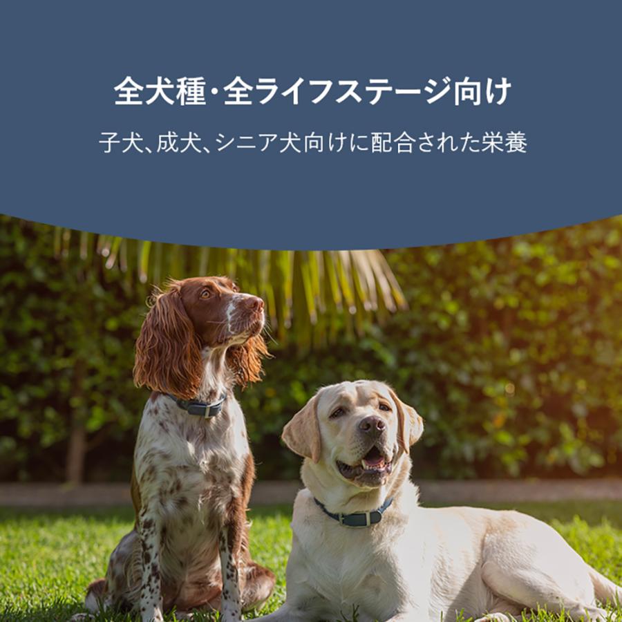 ZIWI（ジウィ） ジウィピーク スチーム＆ドライ グラスフェッドビーフ
