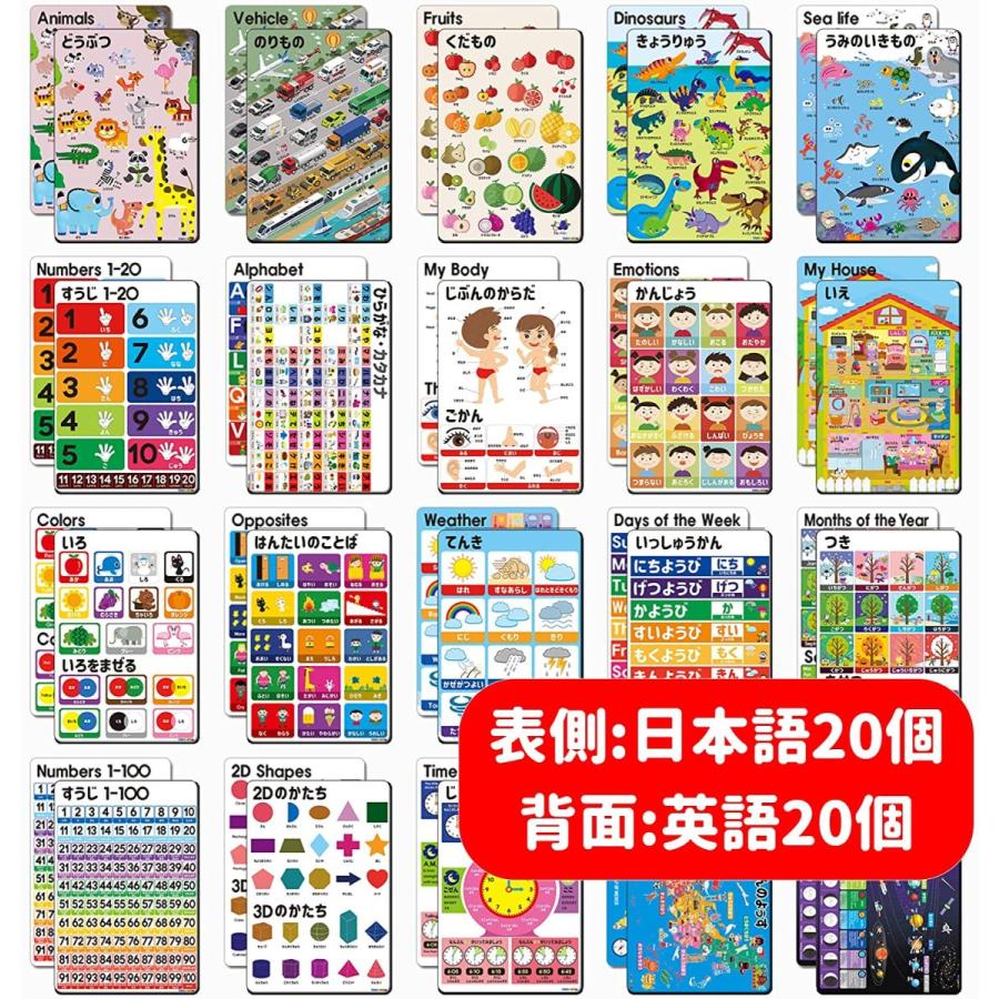 贅沢屋の ナニワ Naniwa 本職用砥石 剛研 輝ツイン 2本組 5000 8000 研ぎ台兼収納ケース付き 210 70 10mm Nw 5080 Fucoa Cl