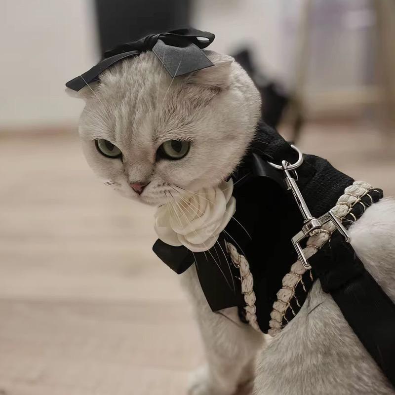 新作 INS風 犬用ハーネス リード付きセットマジックテープ 可愛い 猫服