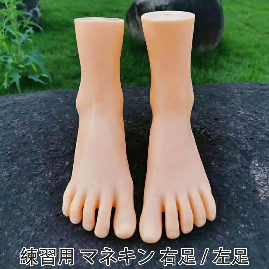 練習用 マネキン 足 フット トルソー 幅9×長さ23×高さ39cmアクセサリー