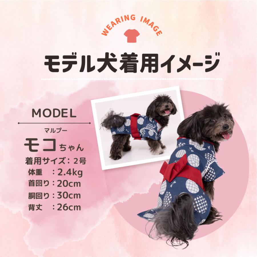 犬 浴衣 甚平 春夏 犬の服 和柄 お祭り pipi 夏祭り お散歩 犬服 ペット服 とんぼ柄 | pipi | 05