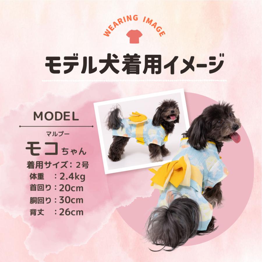 犬 浴衣 春夏 犬の服 かわいい ウェア 和柄 お祭り pipi 夏祭り お散歩 犬服 ペット服 うさぎ柄 | pipi | 05