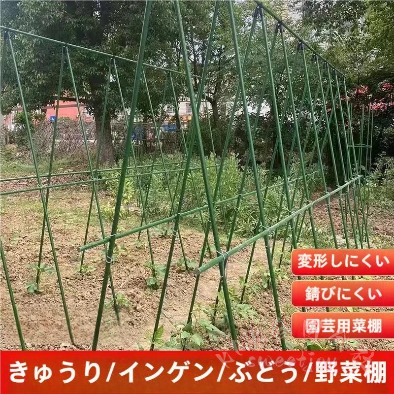 園芸支柱つる植物空中栽培サポート KNK(株) きゅうりヘチマブドウ野菜
