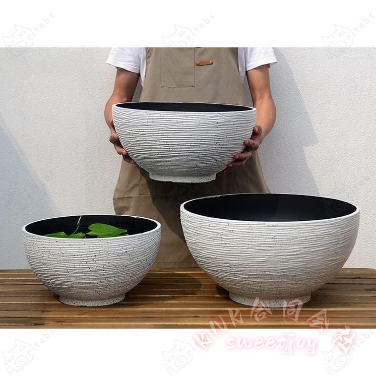睡蓮鉢 大型 プラスチック鉢 スイレンバチ 蓮 鉢植え KNK(株） 水耕