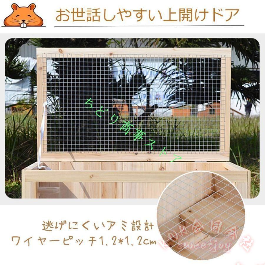 小動物ケージ 大型 木製 60cm KNK(株） ハムスター ハリネズミ デグー