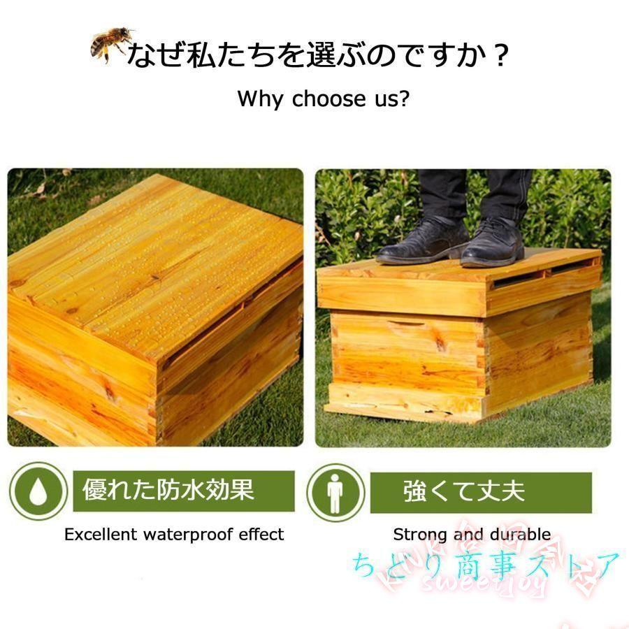 養蜂巣箱キット 10フレーム 木製 KNK(株） 蜂蜜箱 ミツバチ巣箱 養蜂箱