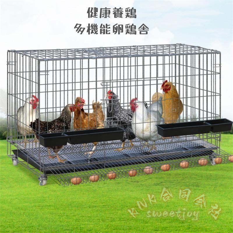 折りたたみ鶏小屋 特大飼育ケージ KNK(株） 自動エッグロール式 トレー・水槽・フードボウル付き 多サイズ対応 家禽用チキンケージ 大世帯向け 省スペース収納_1