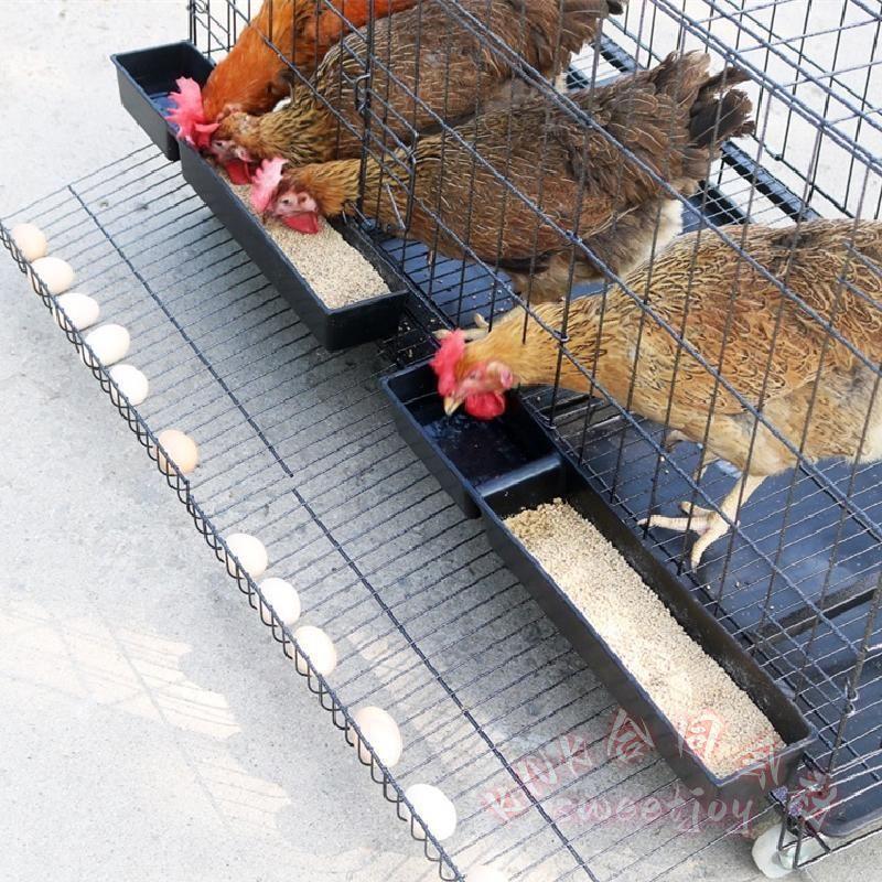 折りたたみ鶏小屋 特大飼育ケージ KNK(株） 自動エッグロール式 トレー・水槽・フードボウル付き 多サイズ対応 家禽用チキンケージ 大世帯向け 省スペース収納_3