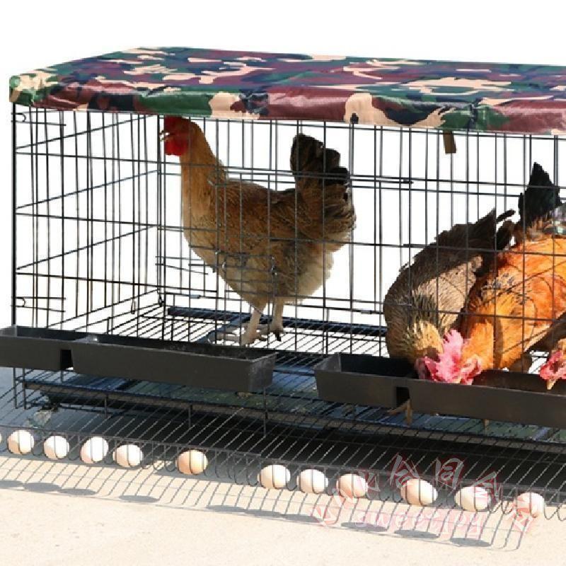 折りたたみ鶏小屋 特大飼育ケージ KNK(株） 自動エッグロール式 トレー・水槽・フードボウル付き 多サイズ対応 家禽用チキンケージ 大世帯向け 省スペース収納_4