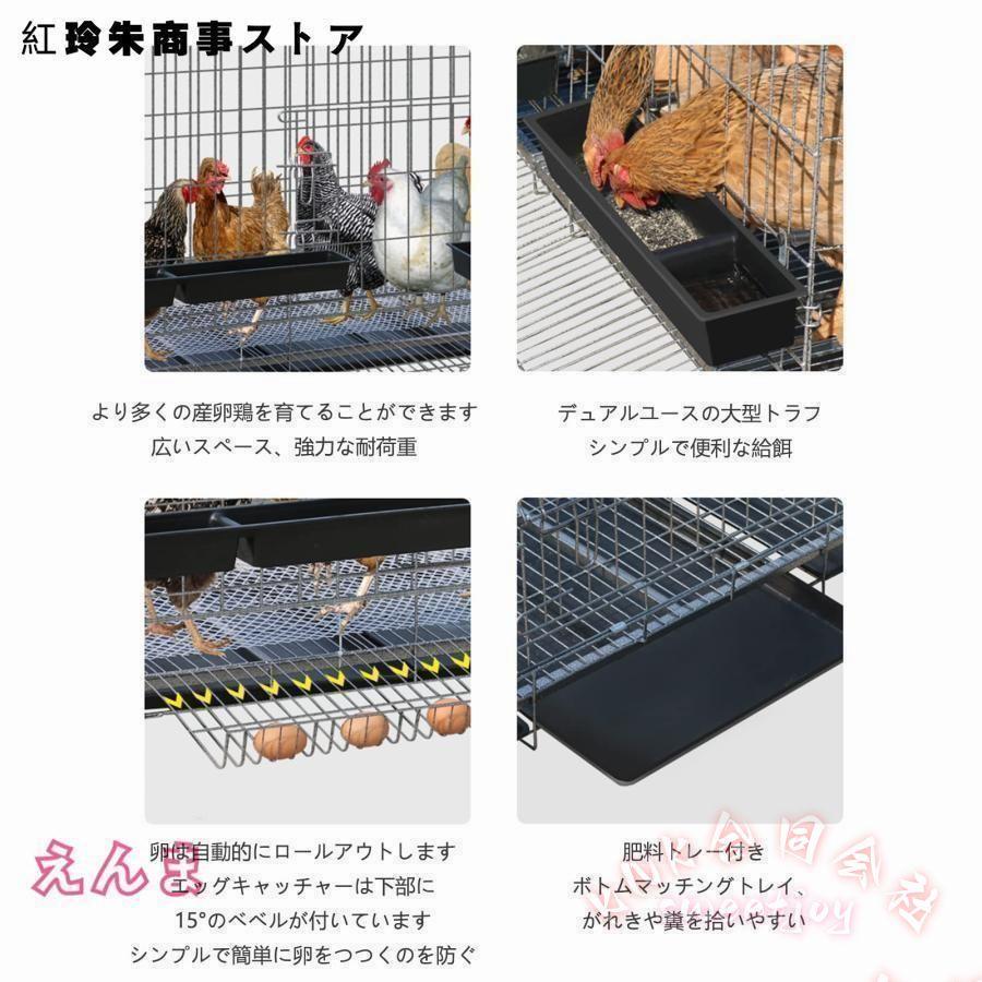 折りたたみ鶏小屋 特大世帯 チキンケージ KNK(株) フードボウル付 自動エッグロールケージ トレー/水槽付 飼育に便利な大型ケージの画像